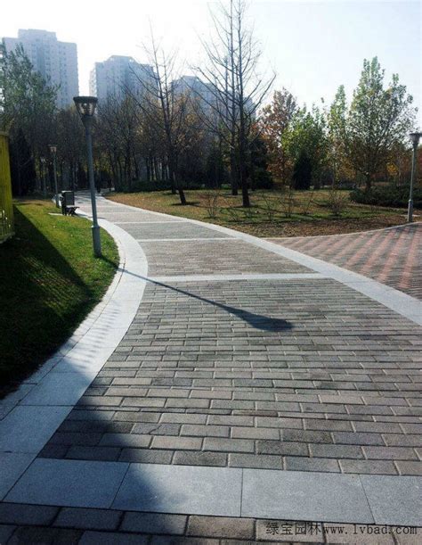 [天津] 生态城慢行道路系统铺装方案汇报-路桥施工方案-筑龙路桥市政论坛
