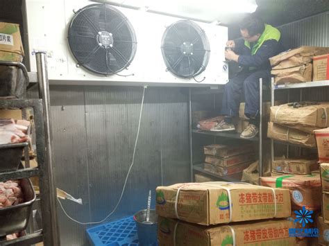 安装一个槟榔保鲜冷库需要花费多少钱？_上海雪艺制冷科技发展有限公司