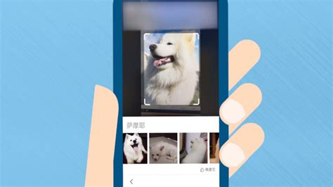 扫图图片