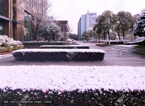 冬天厚厚的白雪覆盖在植被上高清图片下载_红动中国