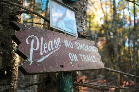 Premium Photo | Close-up of sign board on tree in forest