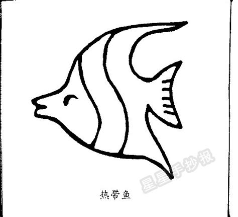 热带鱼简笔画图片教程