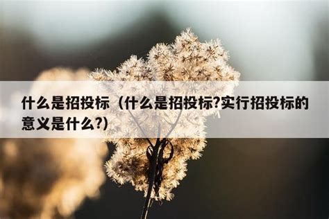 招投标的优势有哪些？ - 知乎