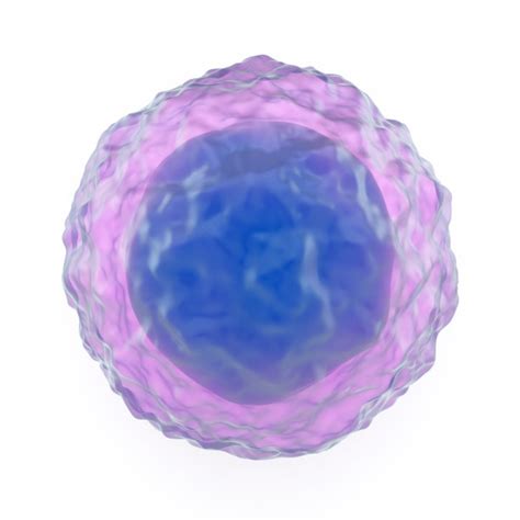 t细胞,抗原,受体,二级,细胞膜,水平画幅,辅助性t[淋巴]细胞,健康保健,癌细胞摄影素材,汇图网www.huitu.com