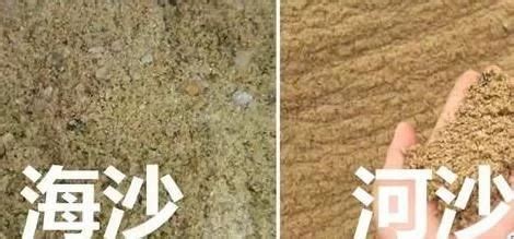 砂和机制砂的区别，“沙”与“砂”有什么区别？_新乡鼎力矿山设备有限公司
