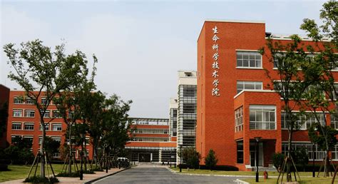 中国农业大学生物学院 学院风貌 生科楼-夏景