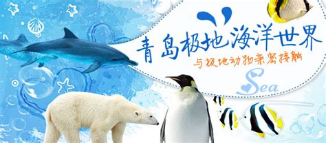 青岛极地海洋公园游玩攻略2024_青岛极地海洋公园门票团购