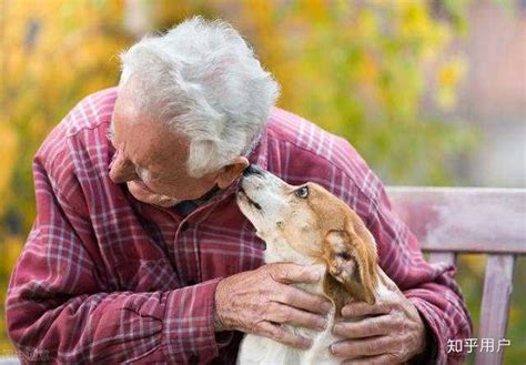 老人适合养什么样的狗 适合老人养的狗品种_宠物百科 - 养宠客