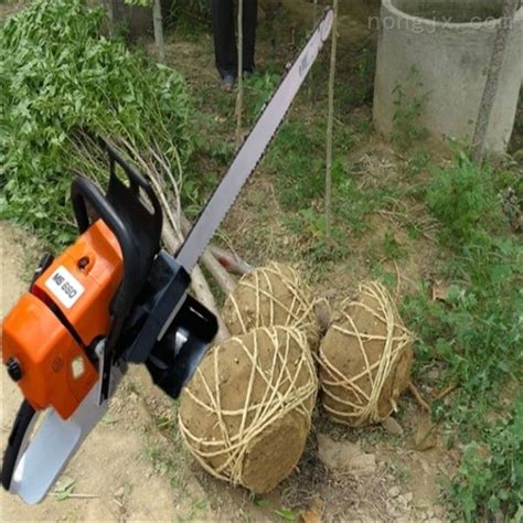 RZ-WS-50-苗木移植机 手提不累挖树机 园林起树机-曲阜市润众机械制造有限公司