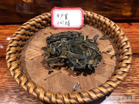 【津品读解】最贴近“茶祖”的地方——小户赛·津乔-津乔|匠制纯粹好茶