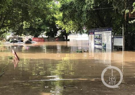 南营街道办事处：洪水消退 干群同心开展灾后重建_工作