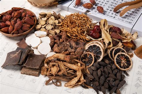 碎石草药大全图片