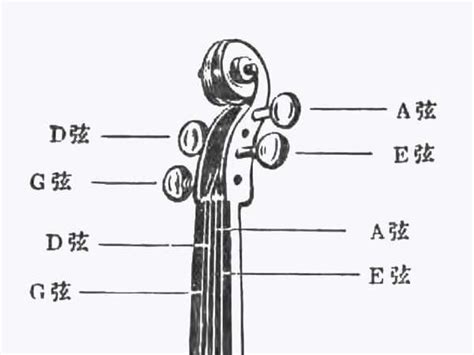 四个弦的乐谱_小提琴四根弦分别是那几个音,对应的简谱是多少？ - 早旭经验网