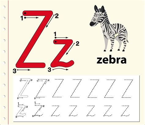 Cómo utilizar la tabla Z (con ejemplos) en 2023 → STATOLOGOS®