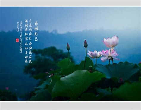 《抒情散文集》小说在线阅读-起点中文网