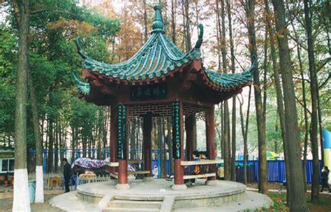 2021中山公园与解放公园是武汉市民特别是汉口区域心中比较有情怀的两个公园，见证了几代人特别是新中国成..._中山公园-评论-去哪儿攻略