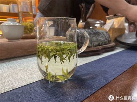 网红茶、科技茶、致富茶……松阳茶市场之路越走越宽