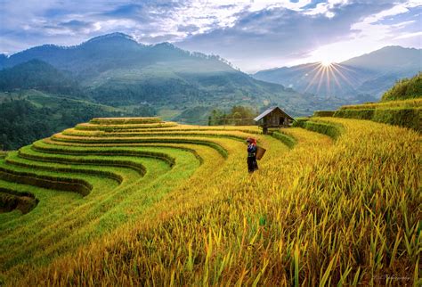 Visit Mu Cang Chai on a trip to Vietnam | Audley Travel UK