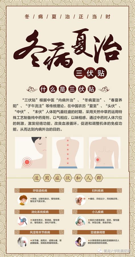 三伏贴位置示意图图片 三伏贴位置示意图图片