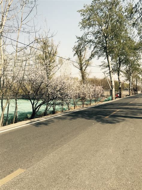 潞城区：完善城市路网 提升功能品味|西延|学府|潞城_新浪新闻