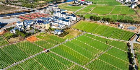 江西萍乡：油菜产业助力乡村振兴 | 大美中国·i自然_手机新浪网