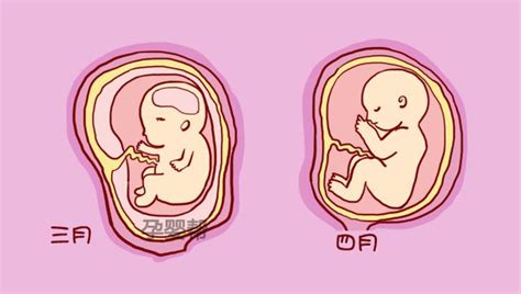 高龄做试管婴儿怀孕了在妊娠期间应该注意什么-深圳中山泌尿外科医院
