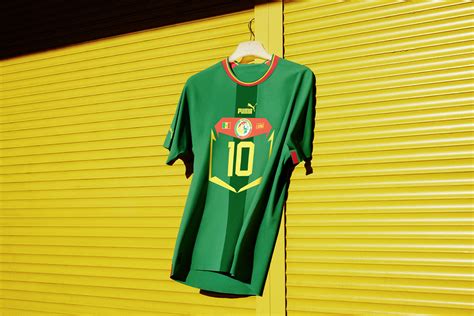 塞内加尔国家足球队队徽标志矢量图 - 设计之家