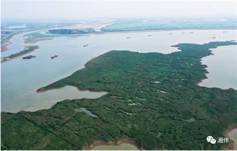 2023稻香湖自然湿地公园游玩攻略,...塘，湖泊，还有一些玩的地...【去哪儿攻略】