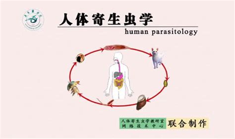 人体内十大寄生虫[组图]_中国网