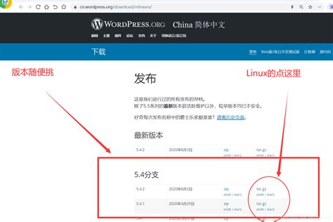 wordpress中文网站代码下载_如何下载wordpress的页面代码-CSDN博客