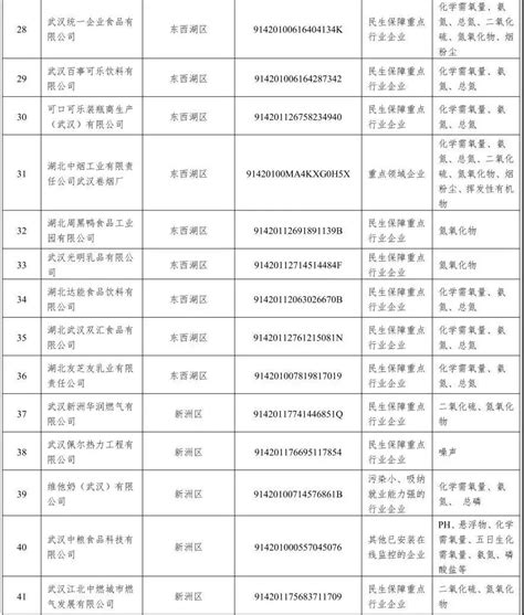 2021年武汉市生态环境监督执法正面清单正式发布