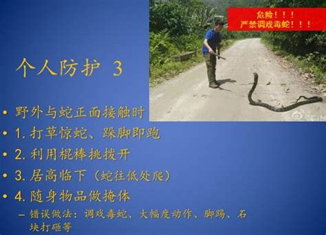 行走野外，怎么防治毒蛇咬伤——毒蛇咬伤的预防----中国科学院生态环境研究中心