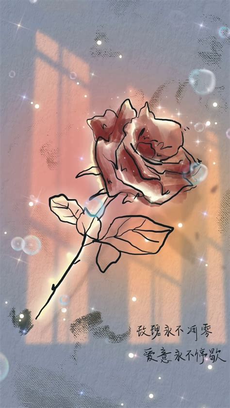 枯萎的玫瑰花 手机壁纸
