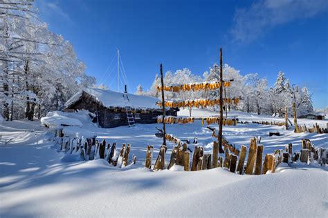 林海雪原高清图片下载-正版图片500805518-摄图网