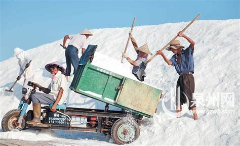 [盐批发]精选全国的长芦盐场，质量细腻，，没有杂质。价格400元/吨 - 惠农网