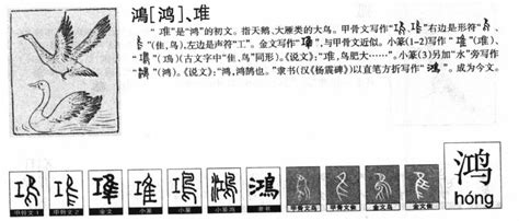 鸿的详细解释_新华字典鸿的意思_汉语字典鸿的解释