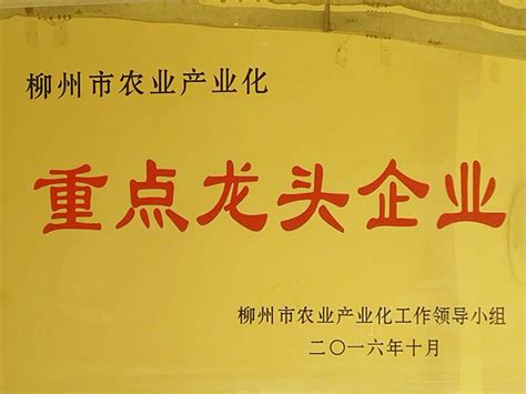 柳州稳增长促发展半年经济扫描：稳中求进舞起西江经济带龙头 - 广西县域经济网