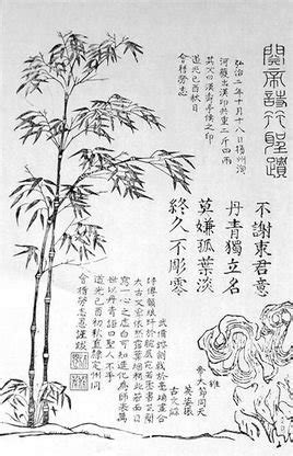 关于描写竹子的诗句有哪些？