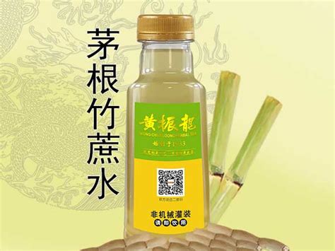 散茶系列-广州黄振龙凉茶有限公司