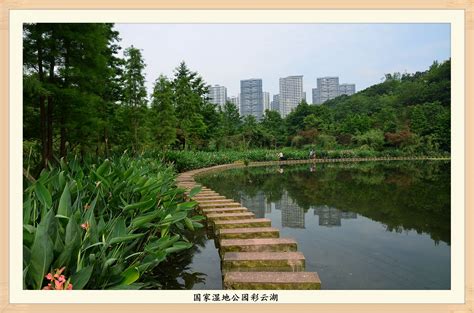 彩云湖国家湿地公园 | 道合设计 - 景观网