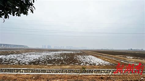 湖南耒阳：创建乡镇千亩粮食种植示范片 带动全市粮食生产_遥田镇