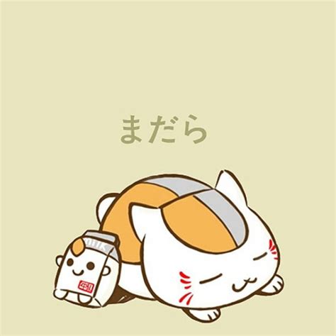 猫咪老师图片