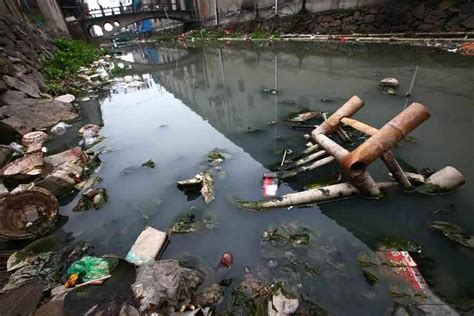 典型案例——武汉市南湖污水直排环境污染问题严重(2)-国际环保在线