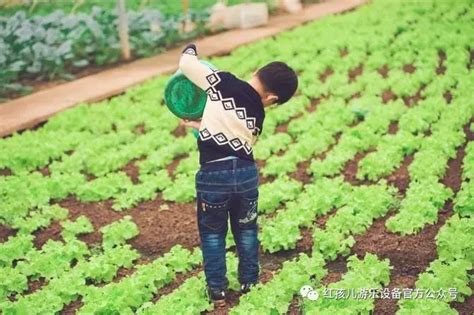 蔬菜生态园观光采摘，尽情享受诗意田园生活_北京旅游网