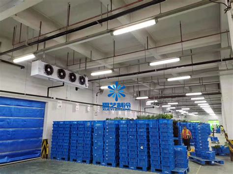 鲜花气调冷库保鲜，气调储存鲜花3个月方法_上海雪艺制冷科技发展有限公司