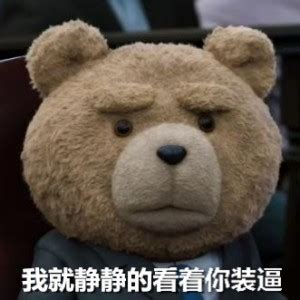泰迪熊表情包-我就静静看着你装逼 - DIY斗图表情 - diydoutu.com