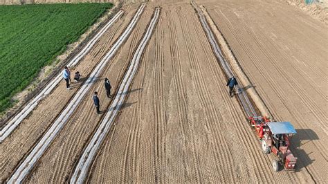 农业农村部部署开展全国粮油等主要作物大面积单产提升行动 - 世相 - 新湖南