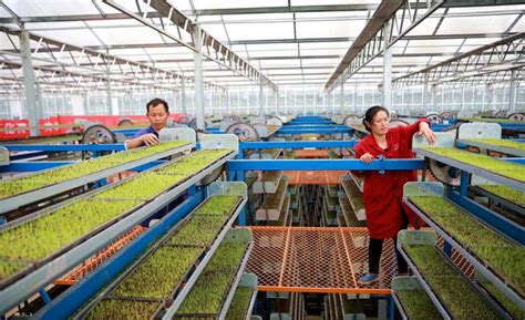 四川：加快转型升级 构建现代农产品加工业体系 - 四川 - 中国产业经济信息网