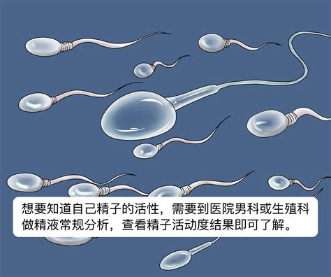人工授精对男性精子质量有要求，精子活力30%是最低标准_家庭医生在线