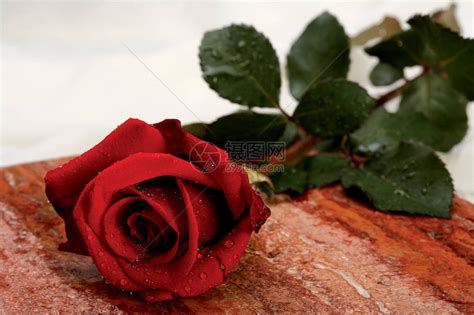 99朵红玫瑰花语 99朵红玫瑰代表着什么_知秀网